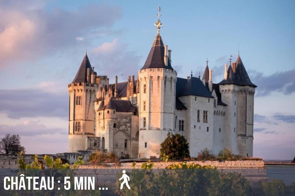 Grand Appartement Place Saint-Pierre, Proche Chateau De Saumur Et Bord De Loire" Exterior foto